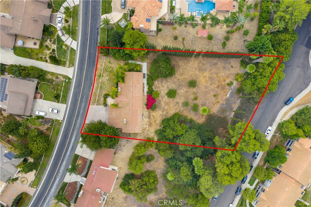 2831 Steeplechase Lane