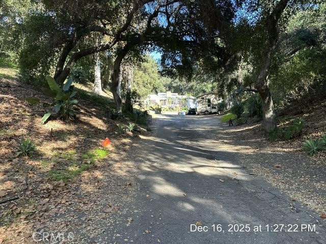 1295 Loma Vista