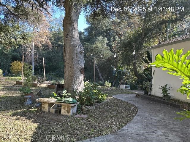 1295 Loma Vista