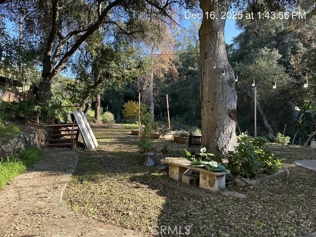1295 Loma Vista