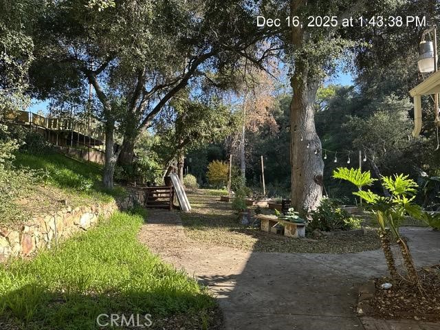 1295 Loma Vista