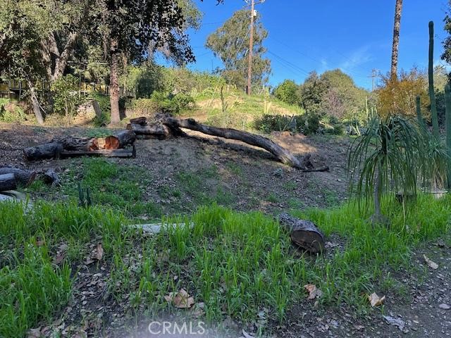 1295 Loma Vista
