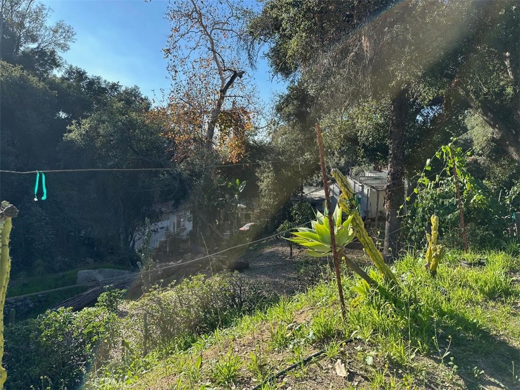 1295 Loma Vista