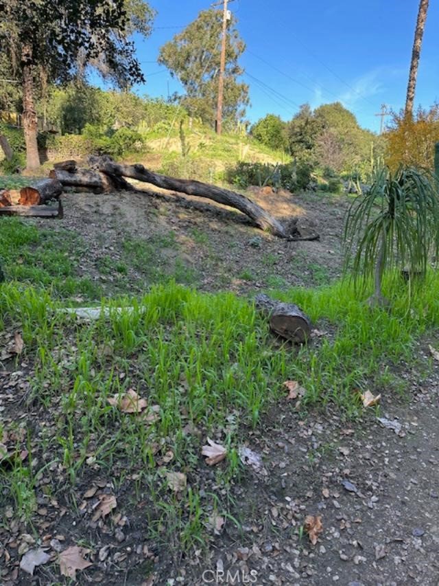 1295 Loma Vista