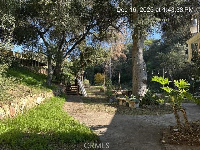 1295 Loma Vista
