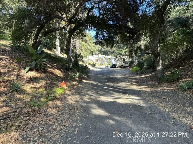 1295 Loma Vista