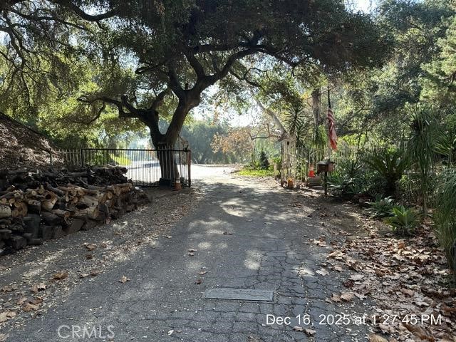 1295 Loma Vista