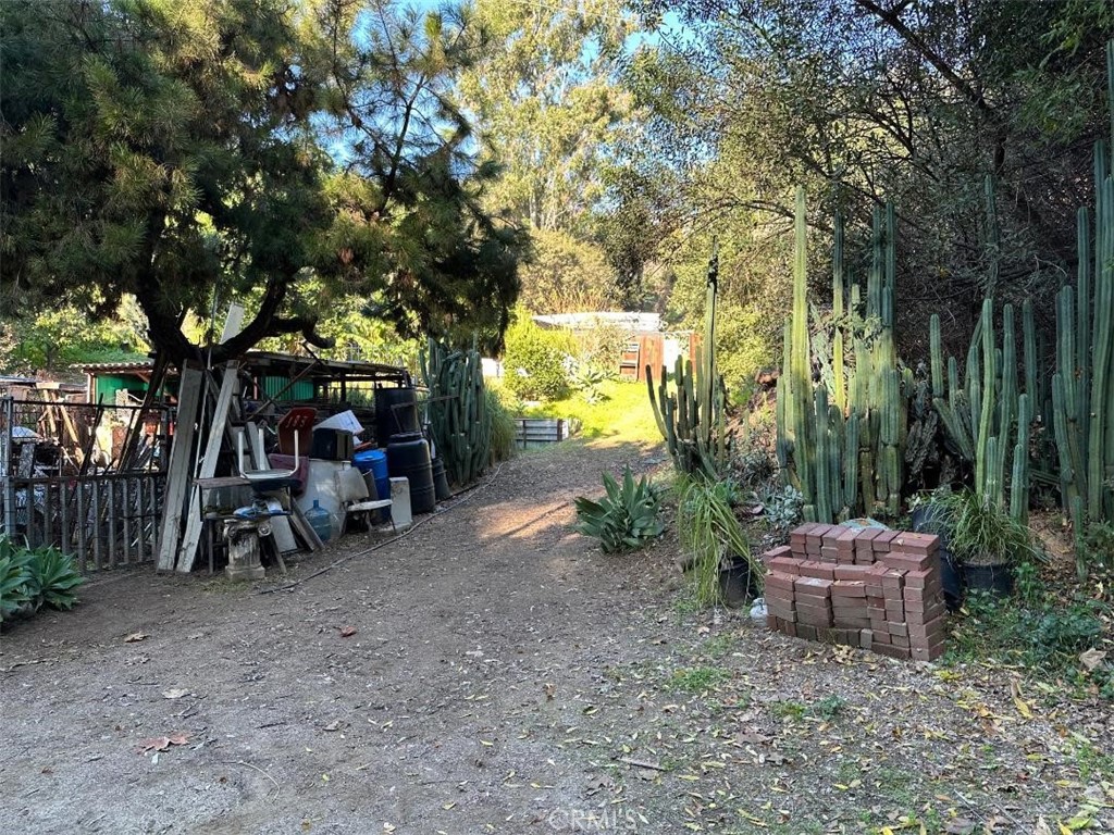 1295 Loma Vista
