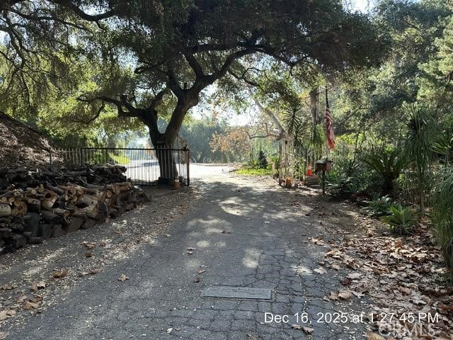 1295 Loma Vista