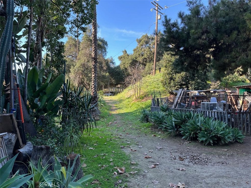 1295 Loma Vista