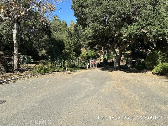 1295 Loma Vista