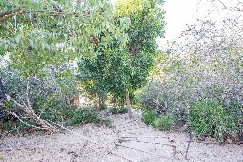 4430 Rosebank