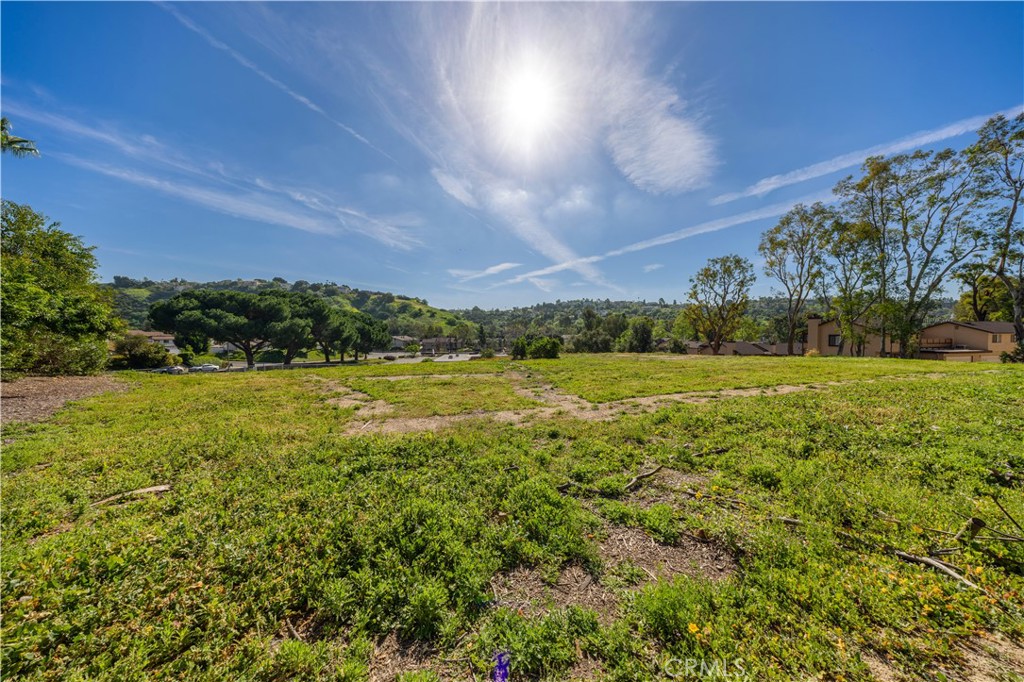 2235 Morning Canyon
