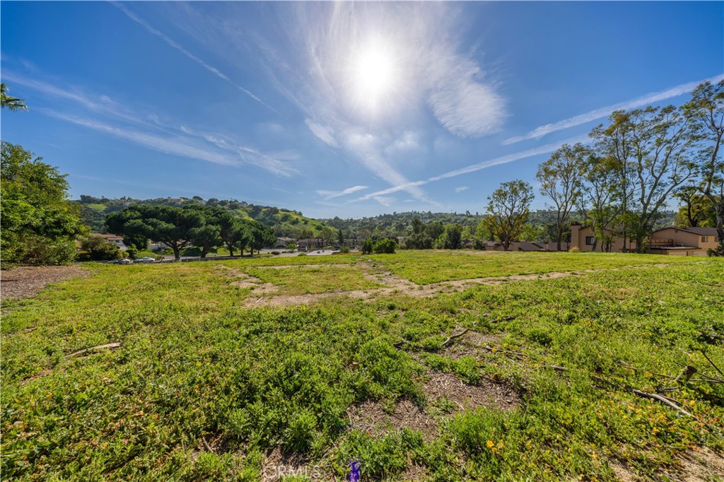 2235 Morning Canyon