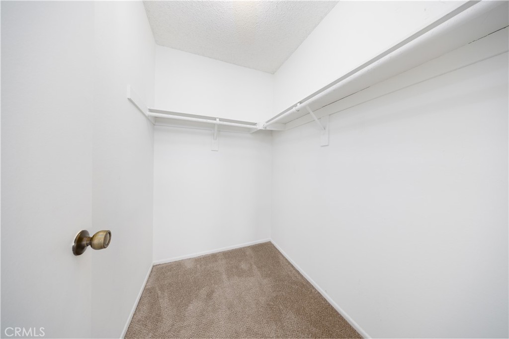 34 Elksford Avenue 3