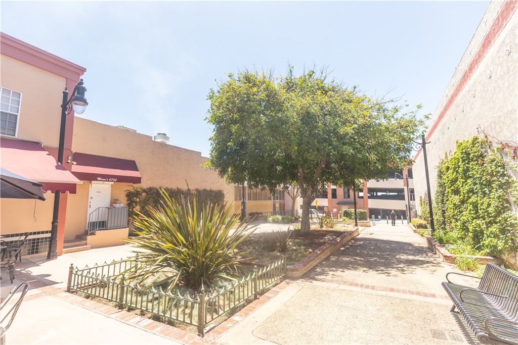 6729 Greenleaf