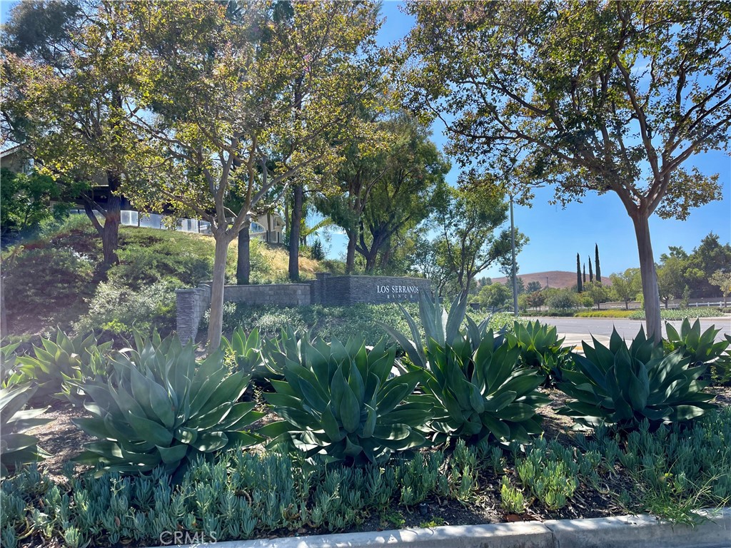 4352 Jasmine Hill Court