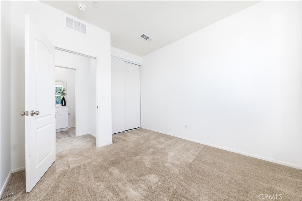 3661 Bonellia Street