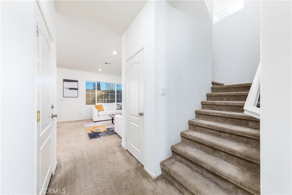 3661 Bonellia Street
