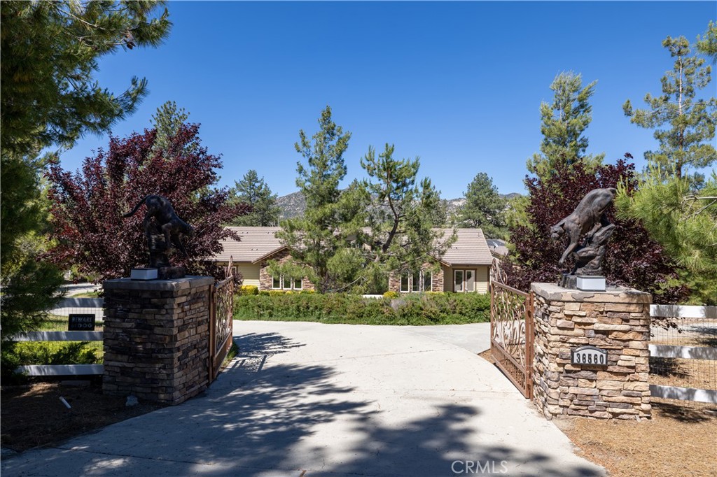 36560 Lion Peak Road