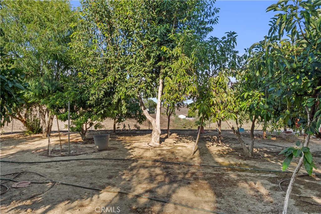 2145 Indian Creek