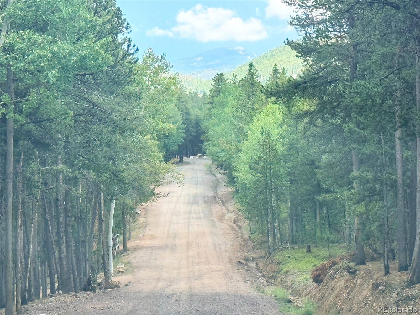 227 Ouray Road