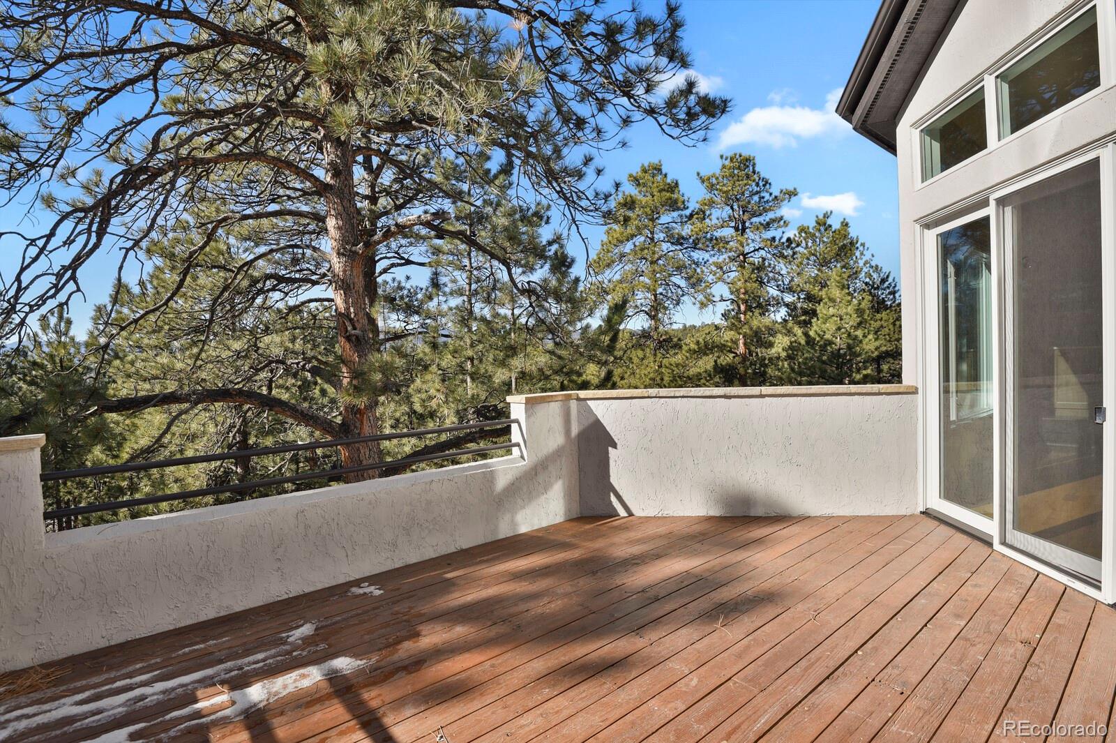 25220 Montane Drive