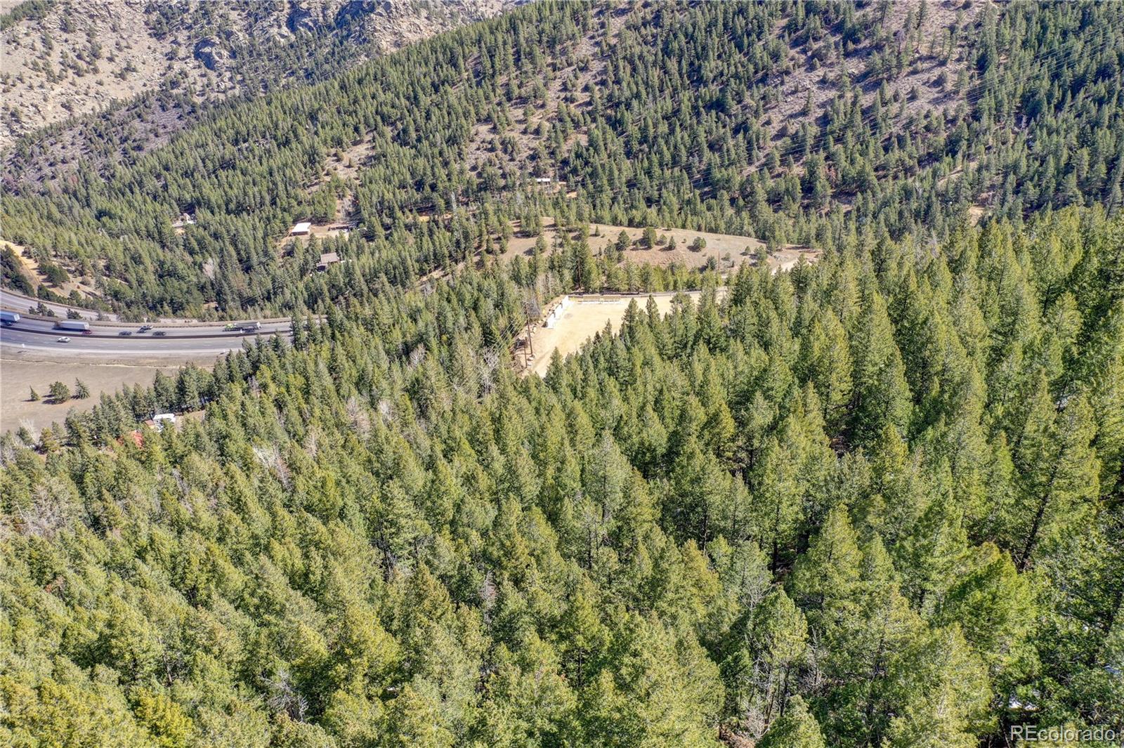 00 Saddleback