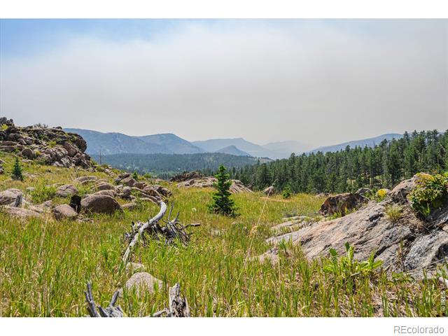 3805 Davis Ranch Road