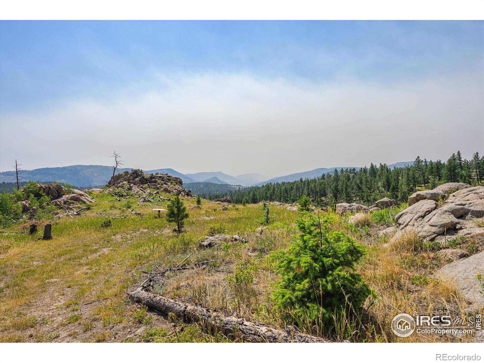 3805 Davis Ranch Road