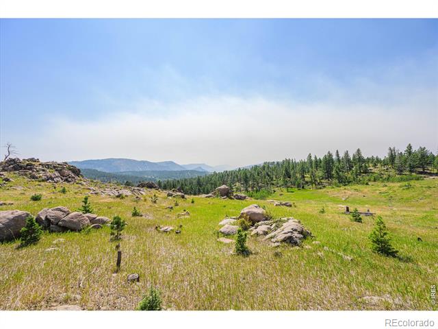 3805 Davis Ranch Road