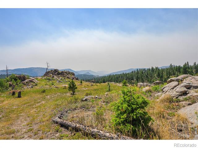3805 Davis Ranch Road