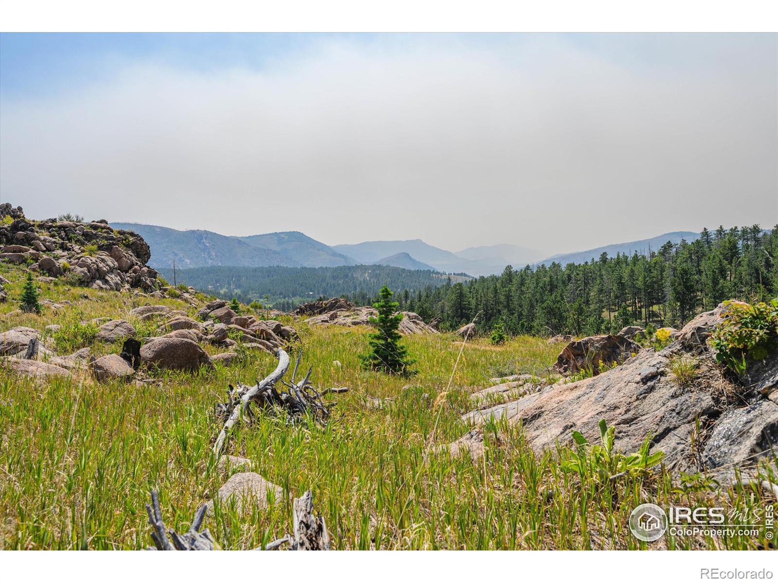 3805 Davis Ranch Road