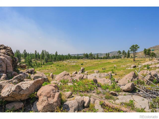 3805 Davis Ranch Road