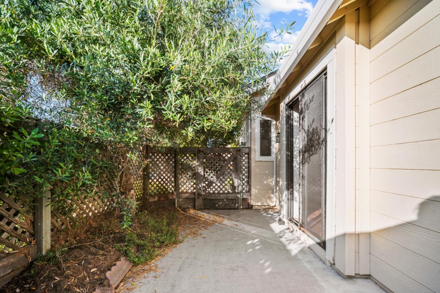 1037 Olympic LN