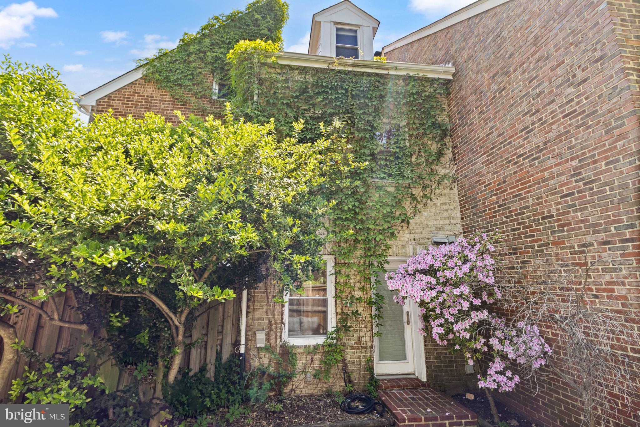 911 ORONOCO ST