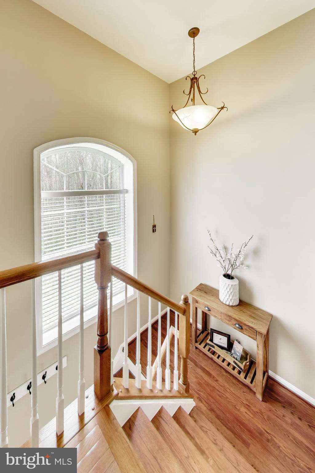 6008 MILL COVE COURT