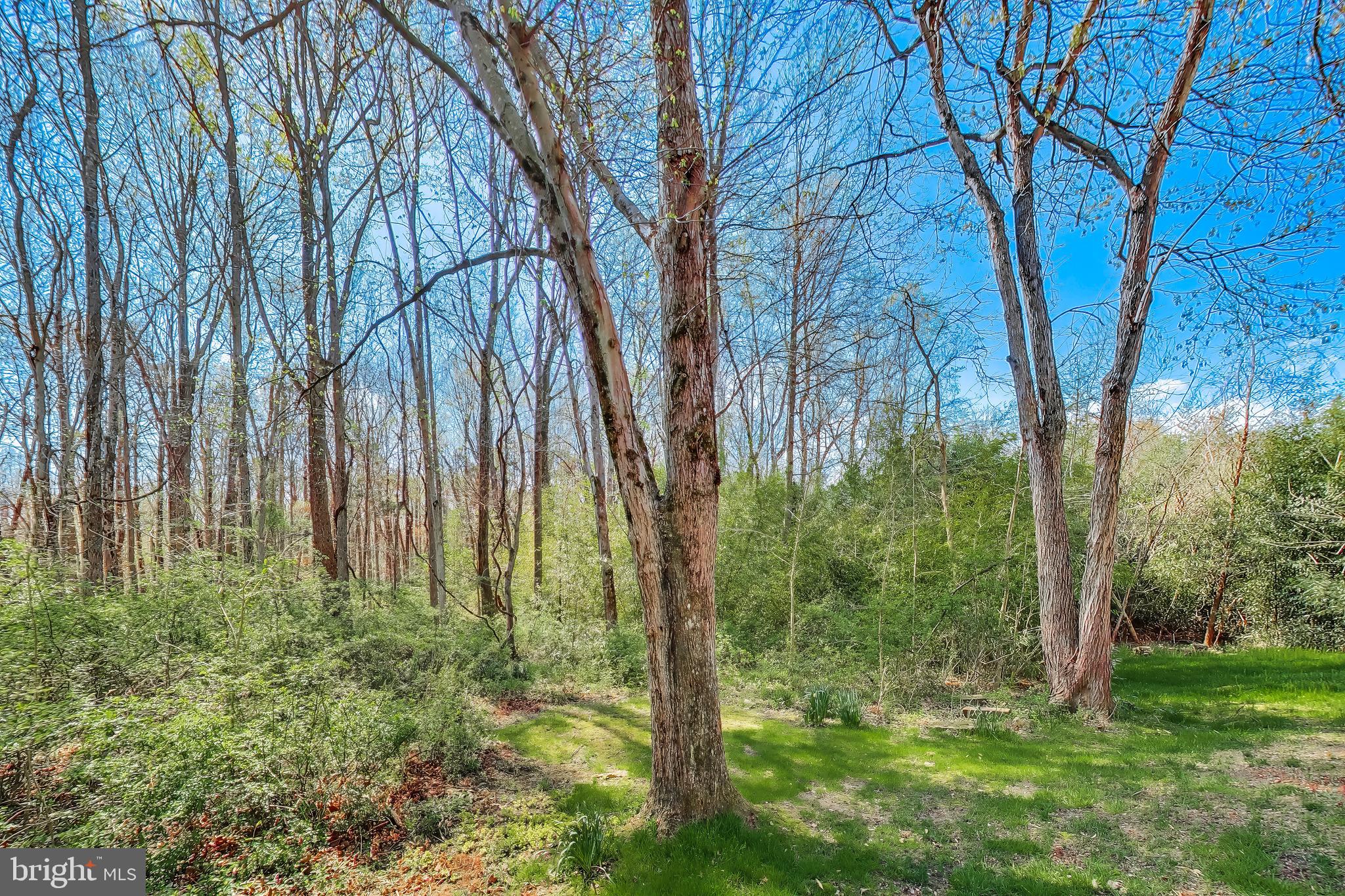 6008 MILL COVE COURT
