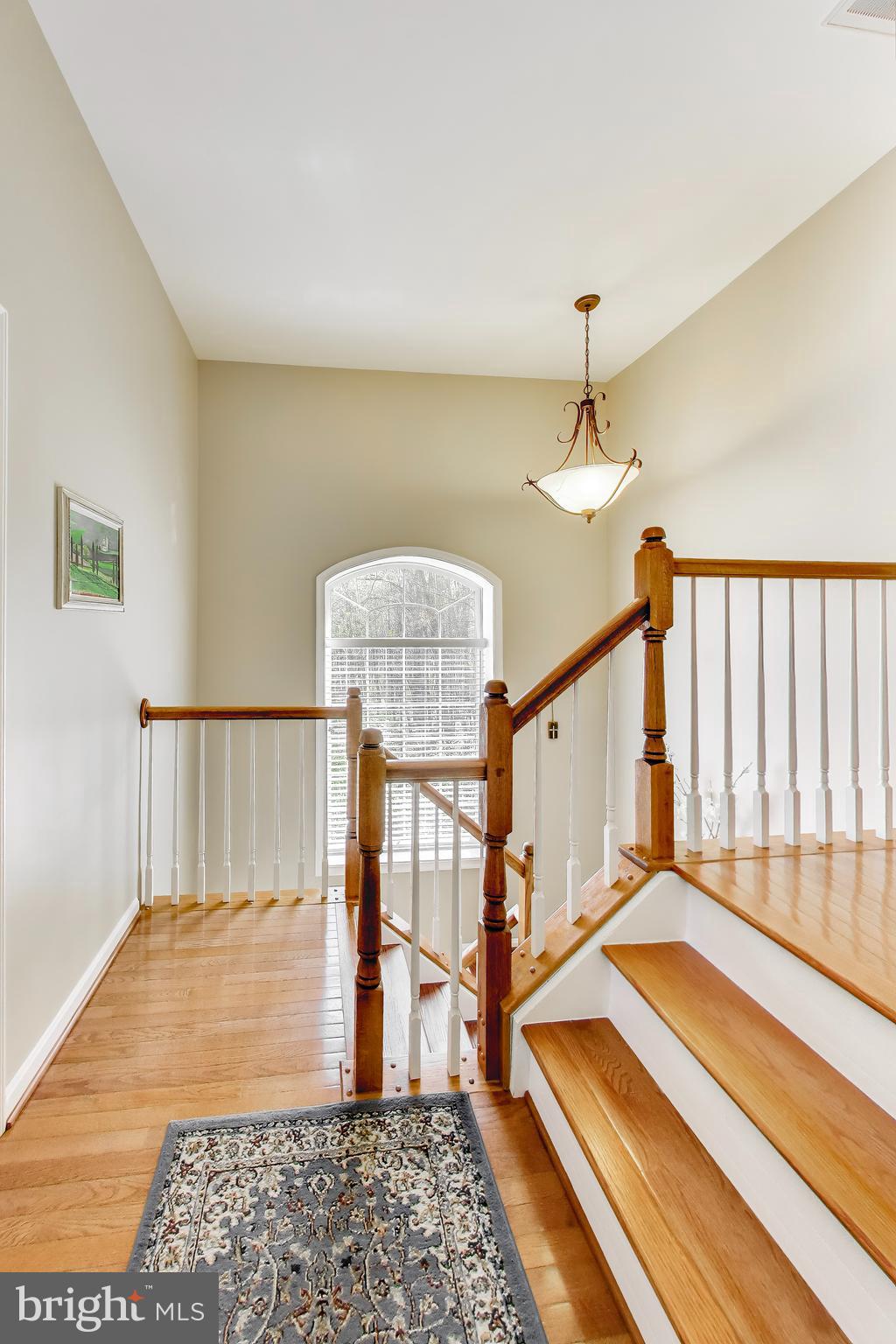 6008 MILL COVE COURT