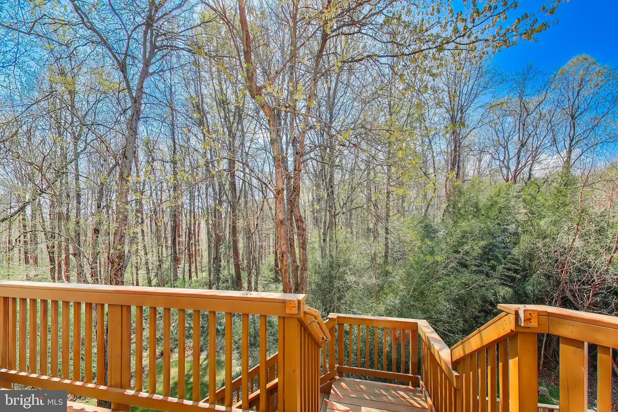 6008 MILL COVE COURT
