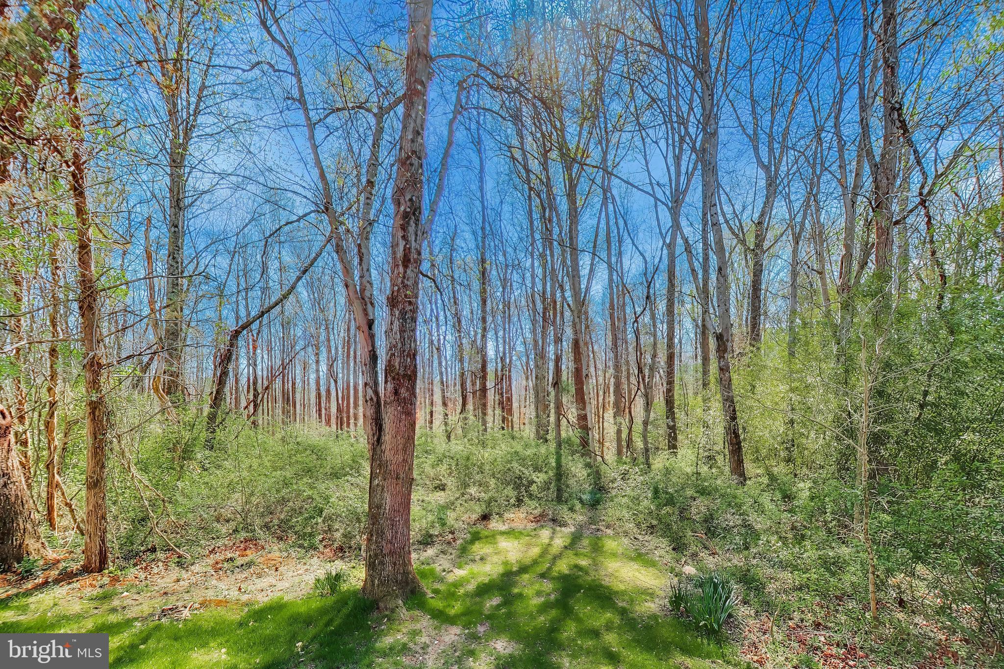 6008 MILL COVE COURT
