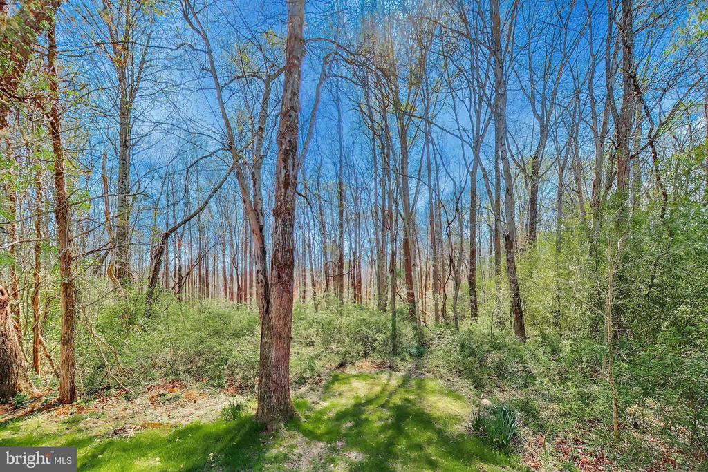 6008 MILL COVE COURT