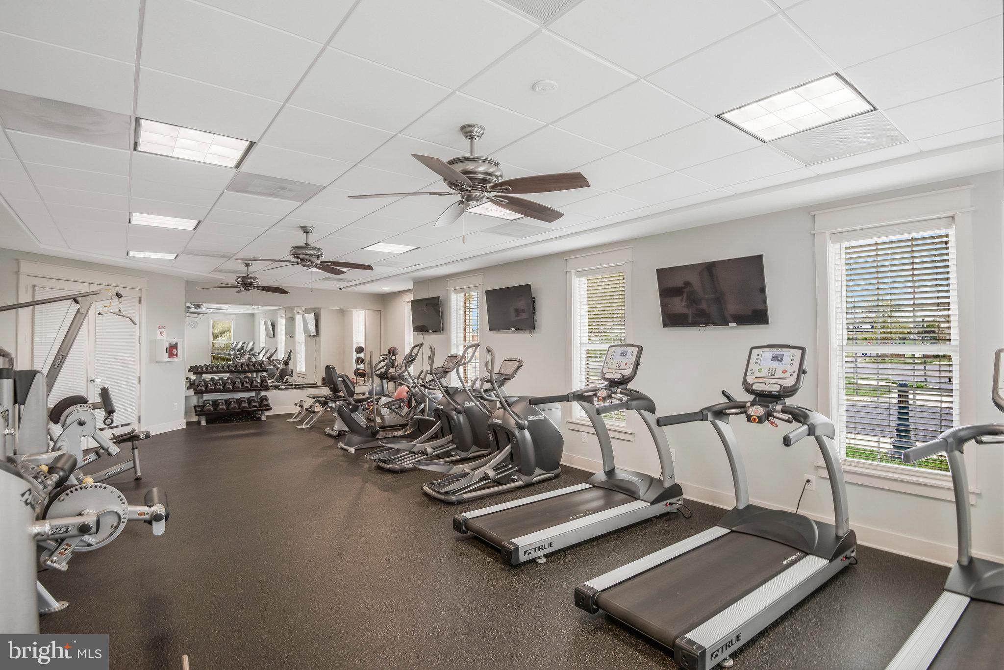 21007 Rocky Knoll Sq #303