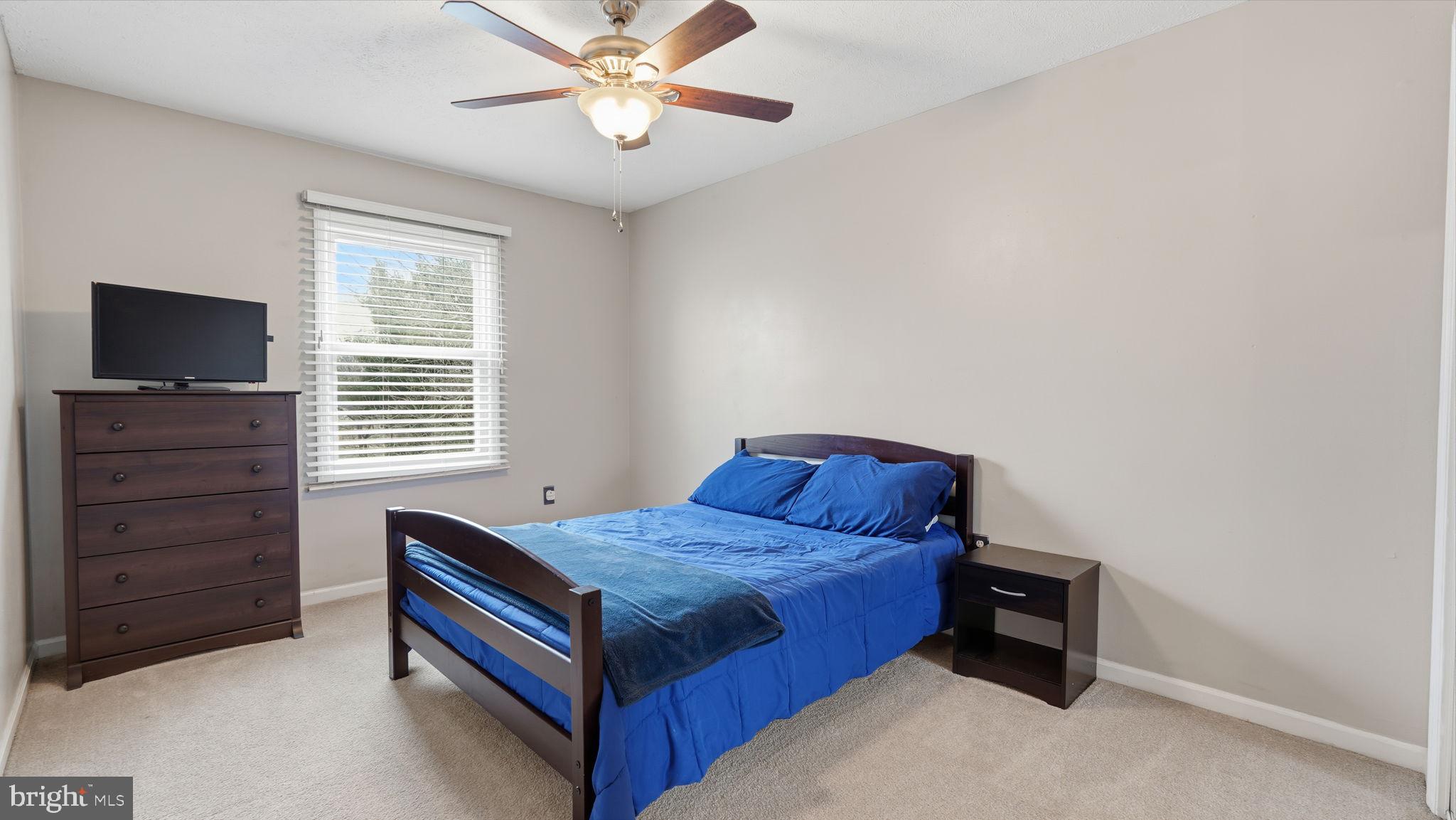 9647 BRANCHVIEW LANE