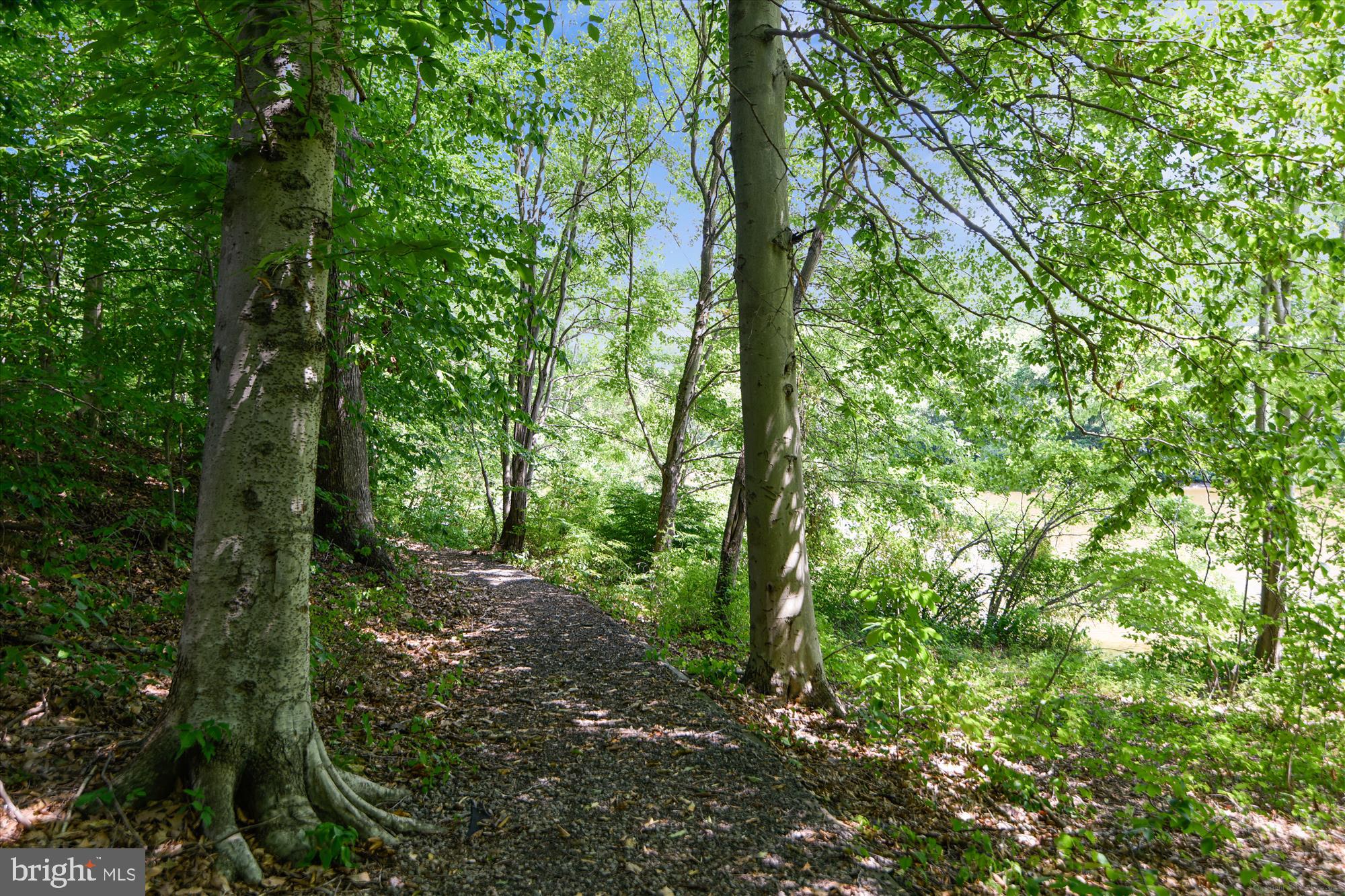 14495 WHISPERWOOD COURT