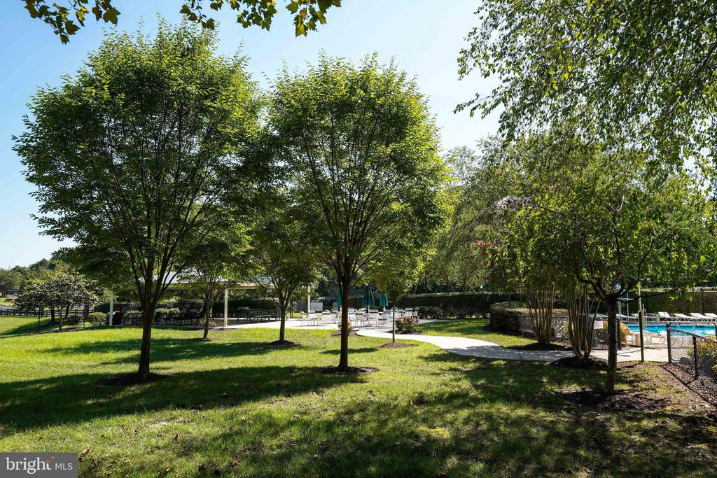 13224 DALDOWNIE COURT