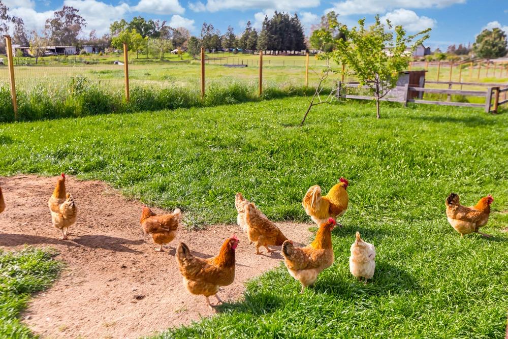 12350 Kirkwood Street