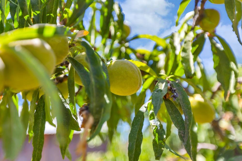 1022 Marina Bay Court