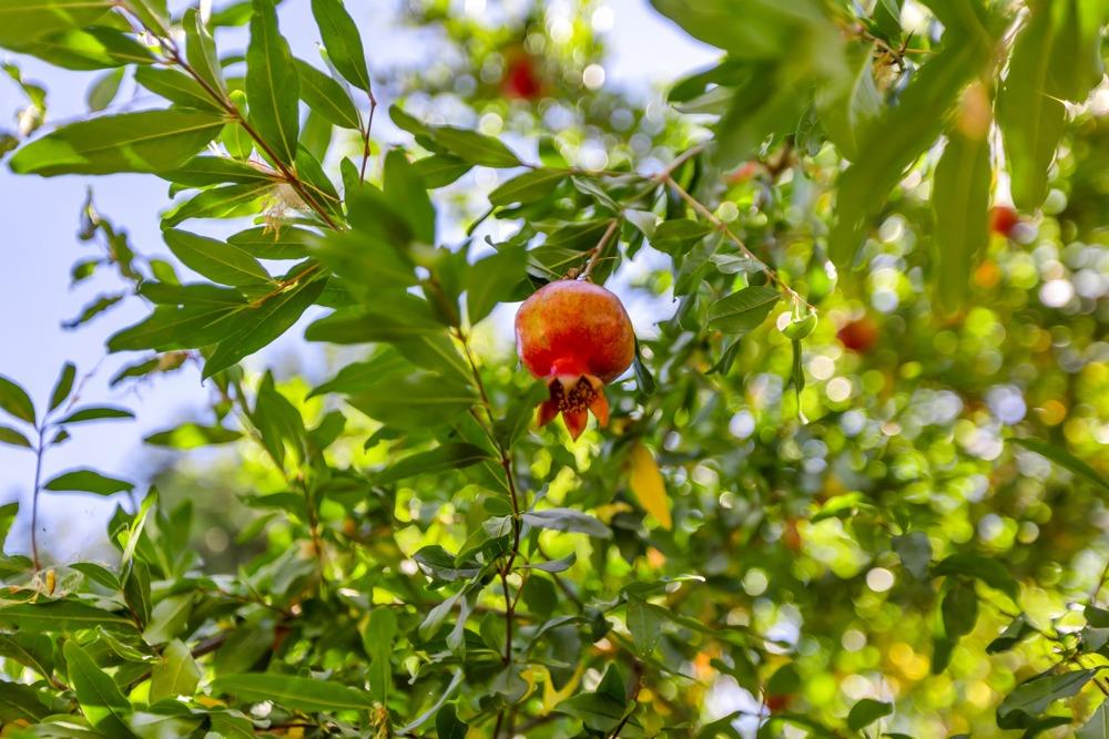 1022 Marina Bay Court