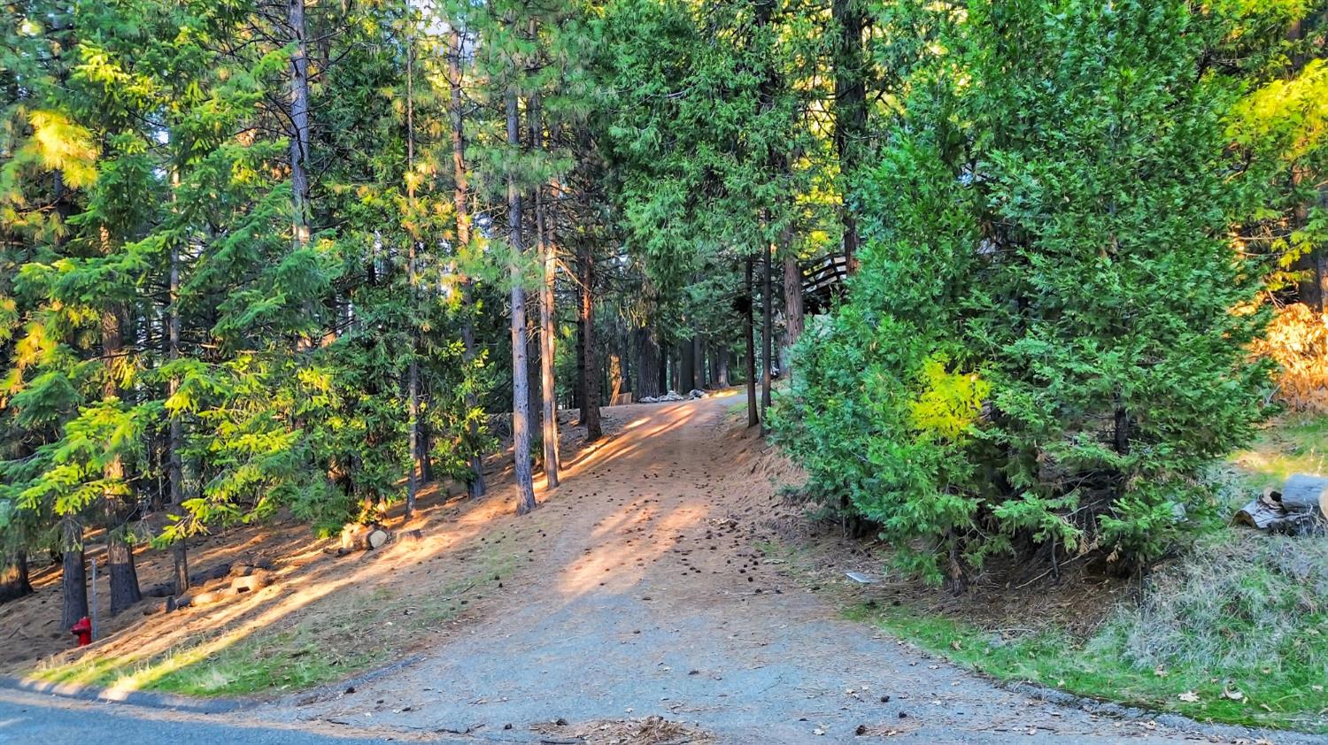 5300 Pine Ridge Drive